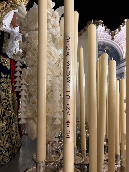 Domingo de Ramos 2023 · 6